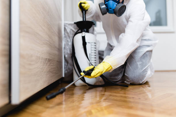 Best Emergency Pest Control  in Reidsville, NC