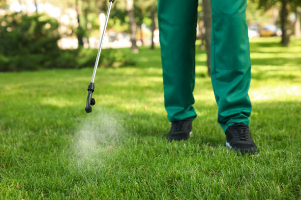 Best Commercial Pest Control Services  in Reidsville, NC