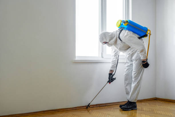 Best Exterminator Services  in Reidsville, NC