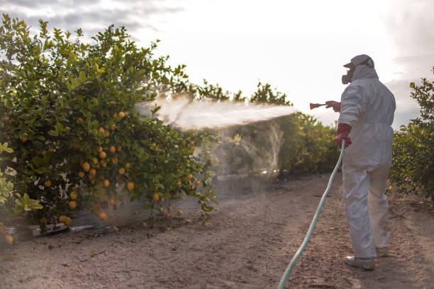 Best Exterminator Services  in Reidsville, NC