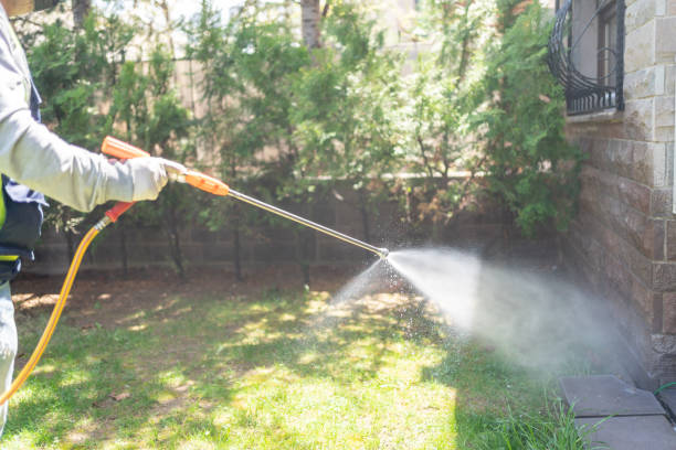 Professional Pest Control in Reidsville, NC