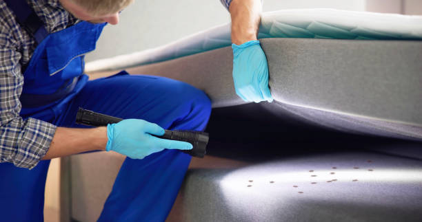 Best Pest Control Cost  in Reidsville, NC
