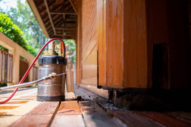 Best Wasp Removal Services  in Reidsville, NC