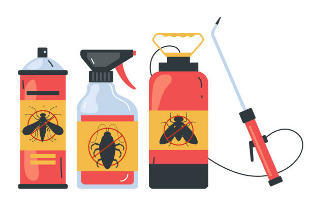 Insect Control in Reidsville, NC