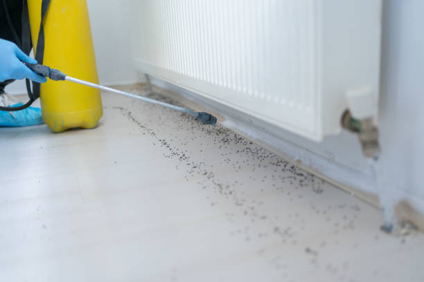 Best Pest Removal Services  in Reidsville, NC