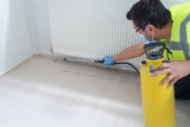 Best Best Pest Control Companies  in Reidsville, NC