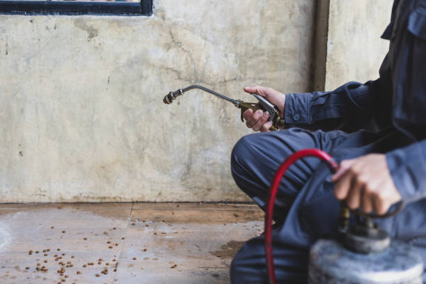 Best Pest Control for Restaurants  in Reidsville, NC