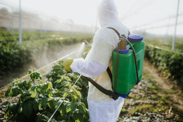 Best Cockroach Control Services  in Reidsville, NC